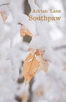 portada Southpaw: A Matter of Reversal