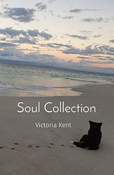 portada Soul Collection (en Inglés)