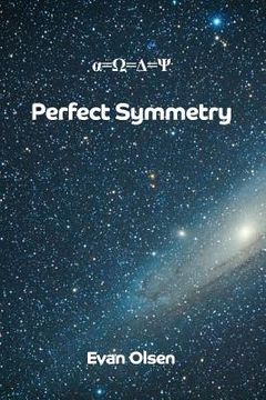 portada Perfect Symmetry (en Inglés)
