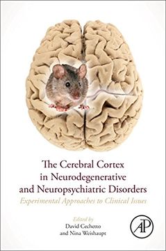 portada The Cerebral Cortex in Neurodegenerative and Neuropsychiatric Disorders: Experimental Approaches to Clinical Issues (in English)