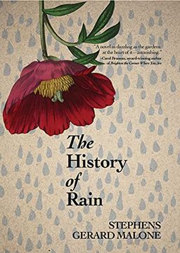 portada The History of Rain (en Inglés)