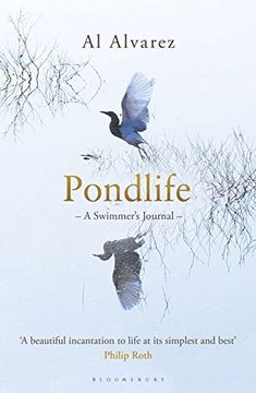 portada Pondlife: A Swimmer's Journal (in English)