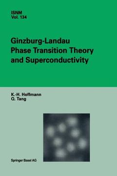 portada Ginzburg-Landau Phase Transition Theory and Superconductivity (en Inglés)