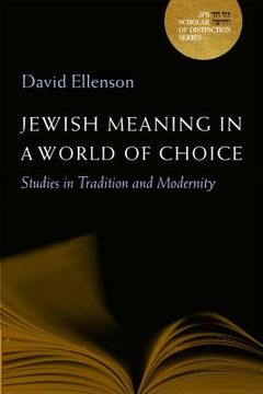 portada Jewish Meaning in a World of Choice: Studies in Tradition and Modernity Volume 9 (en Inglés)