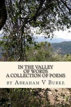 portada In The Valley Of Words (in English)