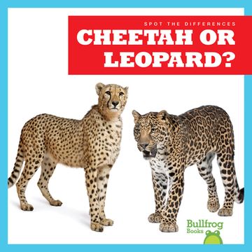 portada Cheetah or Leopard? (en Inglés)