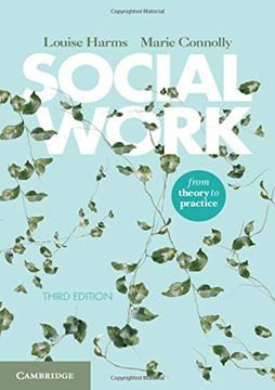 portada Social Work: From Theory to Practice (en Inglés)