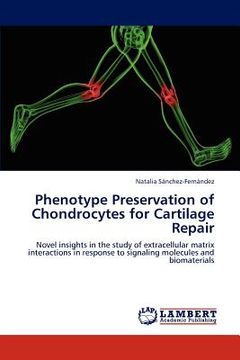 portada phenotype preservation of chondrocytes for cartilage repair (en Inglés)