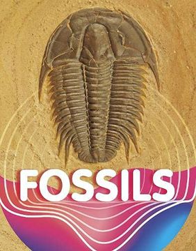 portada Fossils (Earth Materials and Systems) (in English)