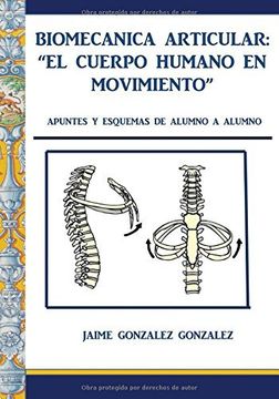 portada Biomecánica Articular. El Cuerpo Humano En Movimiento (spanish Edition)
