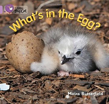 portada What's in the Egg?: Band 00/Lilac (en Inglés)