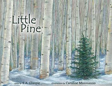 portada Little Pine (in English)