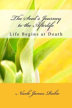 portada The Soul's Journey to the Afterlife: Life Begins at Death (en Inglés)