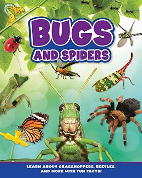 portada Bugs and Spiders (en Inglés)