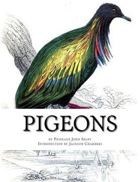 portada Pigeons: Pigeon Classics Book 9 (en Inglés)