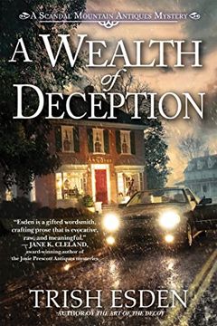portada A Wealth of Deception (in English)