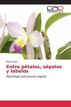 portada Entre pétalos, sépalos y labelos: Morfología estructural vegetal