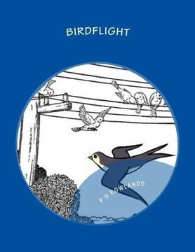 portada Birdflight: A Science Drama Playscript (Science Drama Playscripts)