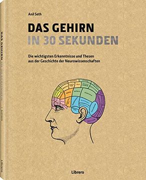 portada Das Gehirn in 30 Sekunden: Die Erstaunlichsten Theorien der Neurowissenschaften in 30 Sekunden (in German)