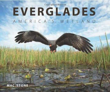 portada Everglades: America's Wetland (in English)