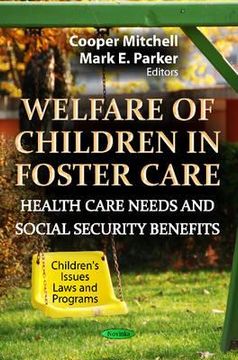 portada welfare of children in foster care