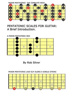 portada Pentatonic Scales For Guitar: A Brief Introduction. (en Inglés)