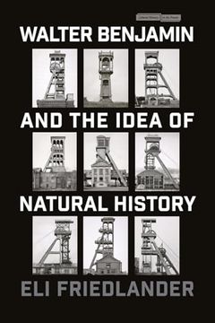 portada Walter Benjamin and the Idea of Natural History (Cultural Memory in the Present) (en Inglés)