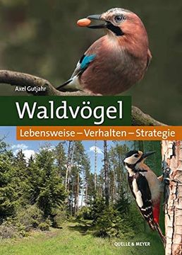 portada Waldvögel: Lebensweise? Verhalten? Strategie (en Alemán)