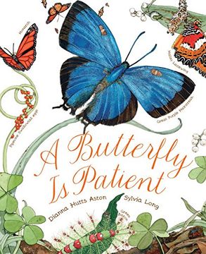 portada A Butterfly Is Patient (en Inglés)