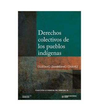 portada Derechos colectivos de los pueblos indígenas