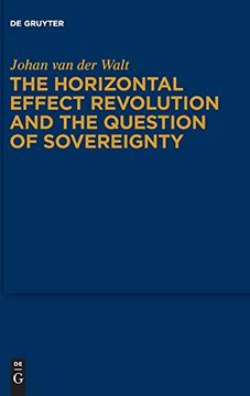 portada Constitutional Review After the Horizontality Revolution 