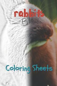 portada Rabbit Coloring Sheets: 30 Rabbit Drawings, Coloring Sheets Adults Relaxation, Coloring Book for Kids, for Girls, Volume 13
