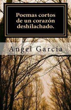 portada Poemas cortos de un corazón deshilachado. (Spanish Edition)