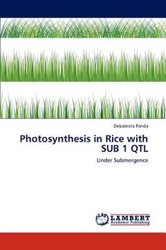 portada photosynthesis in rice with sub 1 qtl (en Inglés)