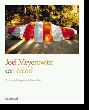 portada Joel Meyerowitz: En Color?