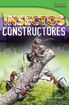 portada Insectos Constructores
