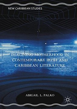 portada Imagining Motherhood in Contemporary Irish and Caribbean Literature (New Caribbean Studies)