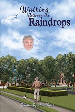 portada Walking Between the Raindrops (en Inglés)