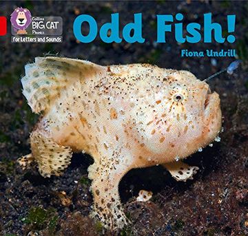 portada Odd Fish! Band 02b (en Inglés)