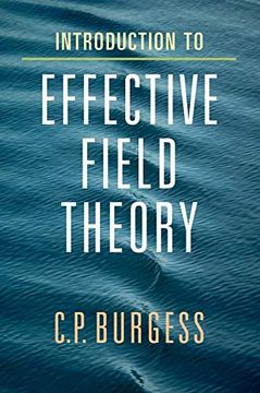 portada Introduction to Effective Field Theory: Thinking Effectively About Hierarchies of Scale (en Inglés)