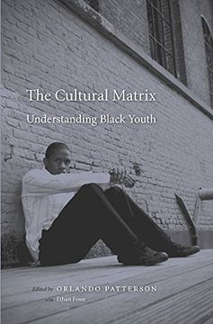 portada The Cultural Matrix: Understanding Black Youth (en Inglés)
