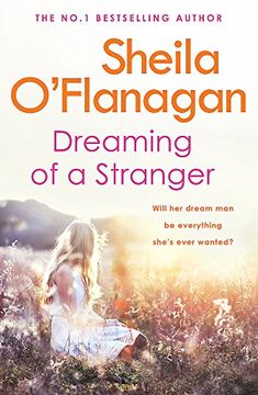 portada Dreaming of a Stranger: An unputdownable novel of hopes and dreams… and love
