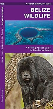 portada Belize Wildlife: An Introduction to Familiar Species (Pocket Naturalist Guides) (en Inglés)