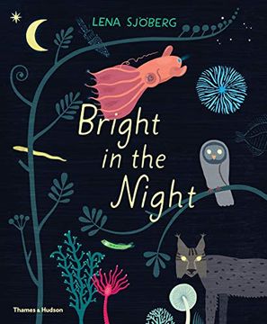portada Bright in the Night (en Inglés)