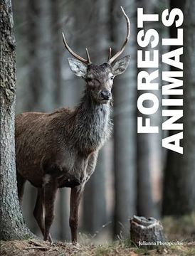 portada Forest Animals (en Inglés)