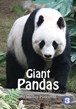 portada Pandas