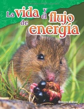 portada La Vida Y El Flujo de Energía (in Spanish)