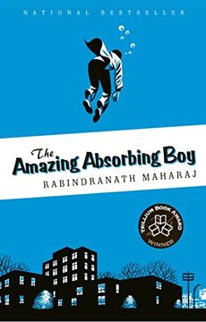portada The Amazing Absorbing boy (en Inglés)