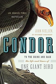 portada Condor: To the Brink and Back--The Life and Times of one Giant Bird (in English)