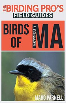 portada Birds of Massachusetts (The Birding Pro'S Field Guides) (en Inglés)